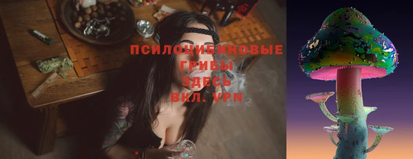 MDMA Premium VHQ Козловка