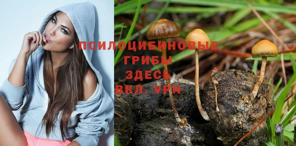 амф Киренск