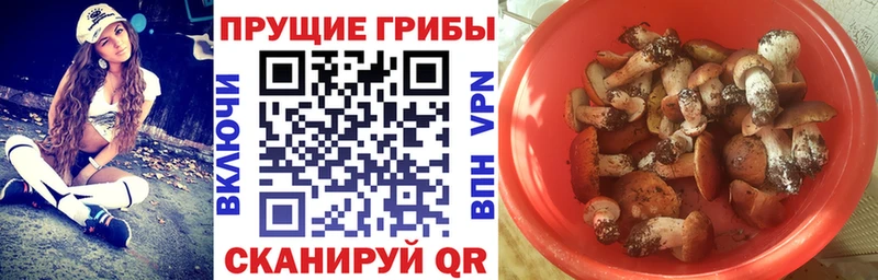 Псилоцибиновые грибы MAGIC MUSHROOMS Балаково