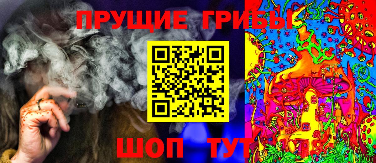 Псилоцибиновые грибы мицелий Балаково
